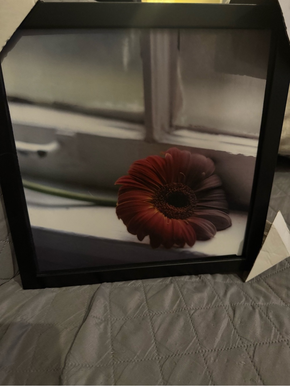 Framed Red Gerbera Daisy Wall Art